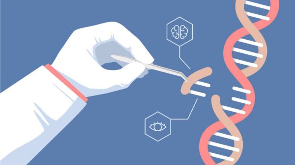 CRISPR Teknolojisi Bakterilerde Gen Aktivitesi