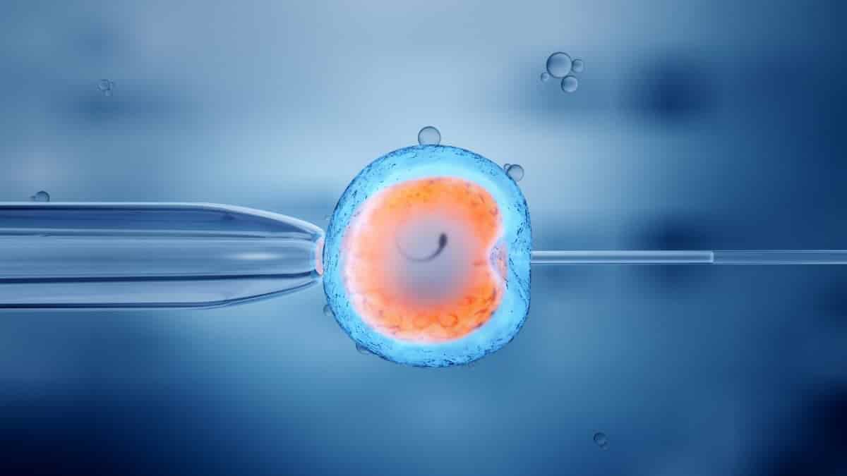 Erkekler Kriyojenik Dondurucu Spermlere Daha Fazla İlgili