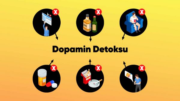 Dopamin-Detoksu
